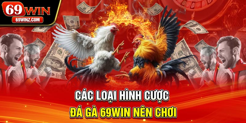 Các loại hình cược đá gà 69win nên chơi