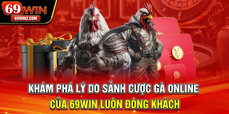 Khám phá lý do sảnh cược gà online của 69win luôn đông khách
