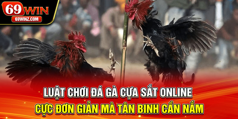 Luật chơi đá gà cựa sắt online cực đơn giản mà tân binh cần nắm