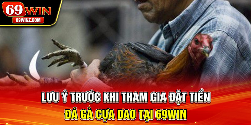 Lưu ý trước khi tham gia đặt tiền đá gà cựa dao tại 69win 