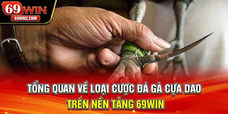 Tổng quan về loại cược đá gà cựa dao trên nền tảng 69win